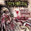 NEKROFILTH: Worship Destruction