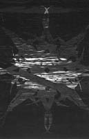 ESCHATON : Causa Fortior