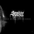 SPEKTR: Near Death Experience