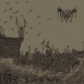 TSORER: Return to Sodom 