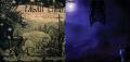 PAGAN LAND / TINI ZABUTYH PEDKIV: Shadows of Forgotten Ancestors / Carpathia