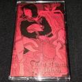 ABIGAIL: Live at El Puente Yokohama