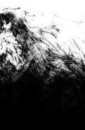 SHADES OF DEEP WATER: Shades of Deep Water