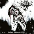 DESTR&Ouml;YER 666: Never Surrender